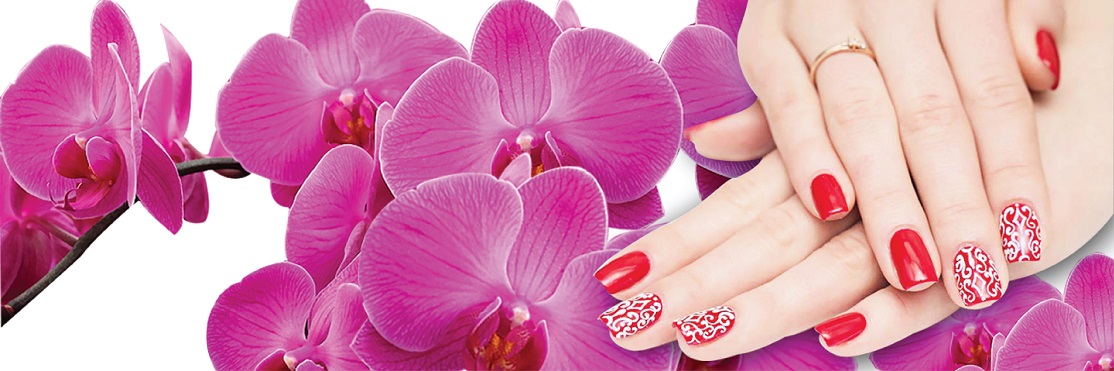 Cover đào đạo